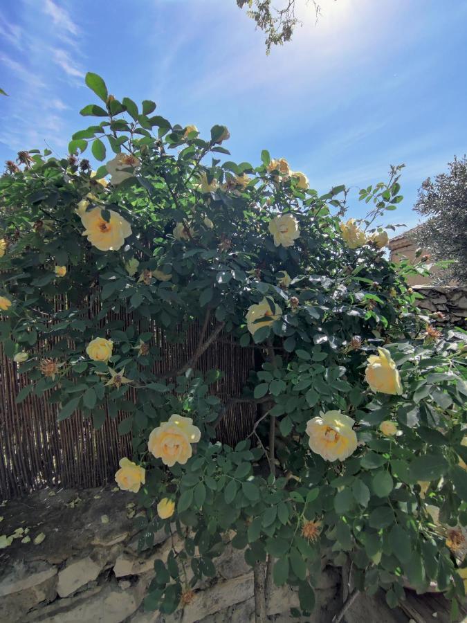 Suite Privee Tavel - Le Mas De L Acacia Exteriér fotografie
